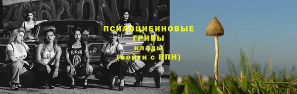 герыч Вяземский