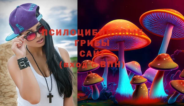 герыч Вяземский