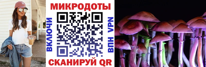 Галлюциногенные грибы мицелий  blacksprut ONION  Дмитровск  дарнет шоп 